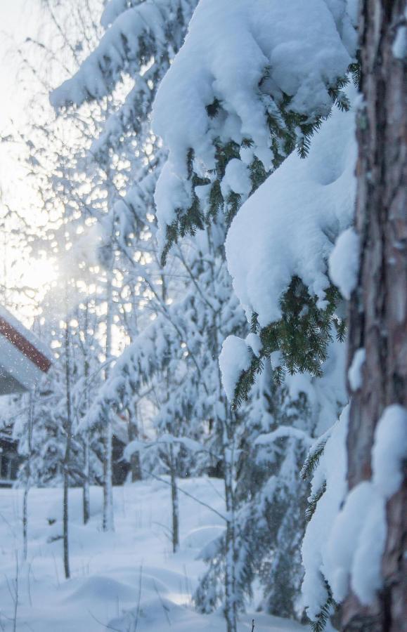 Villa Kurpitsa At Messila Ski & Camping Холлола Экстерьер фото